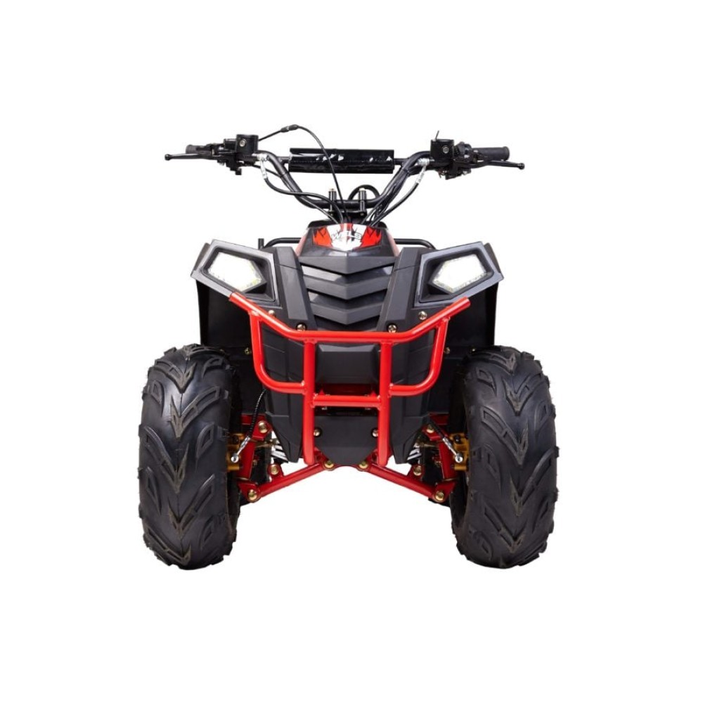 Квадроцикл RAPTOR Dux 8