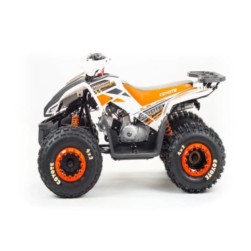 Квадроцикл MOTOLAND 125 Coyote (2021 Г.)