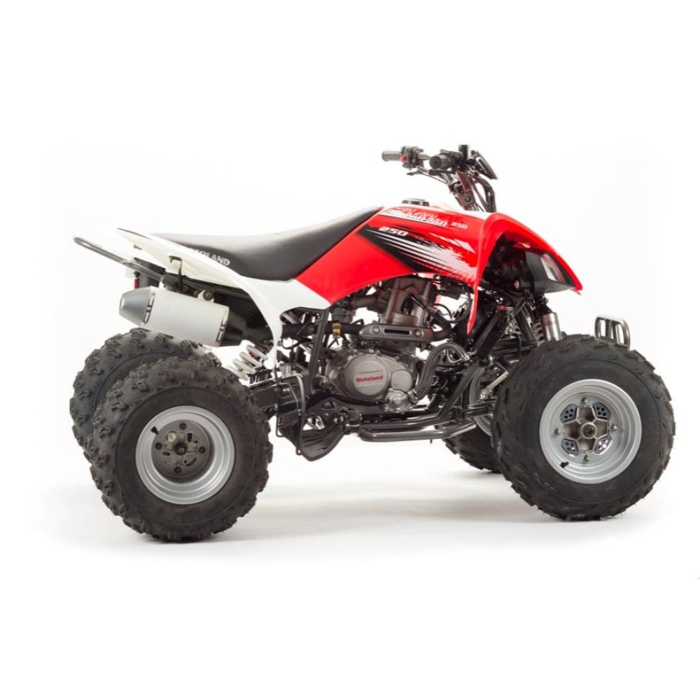 Квадроцикл MOTOLAND 125S (2020 Г.)