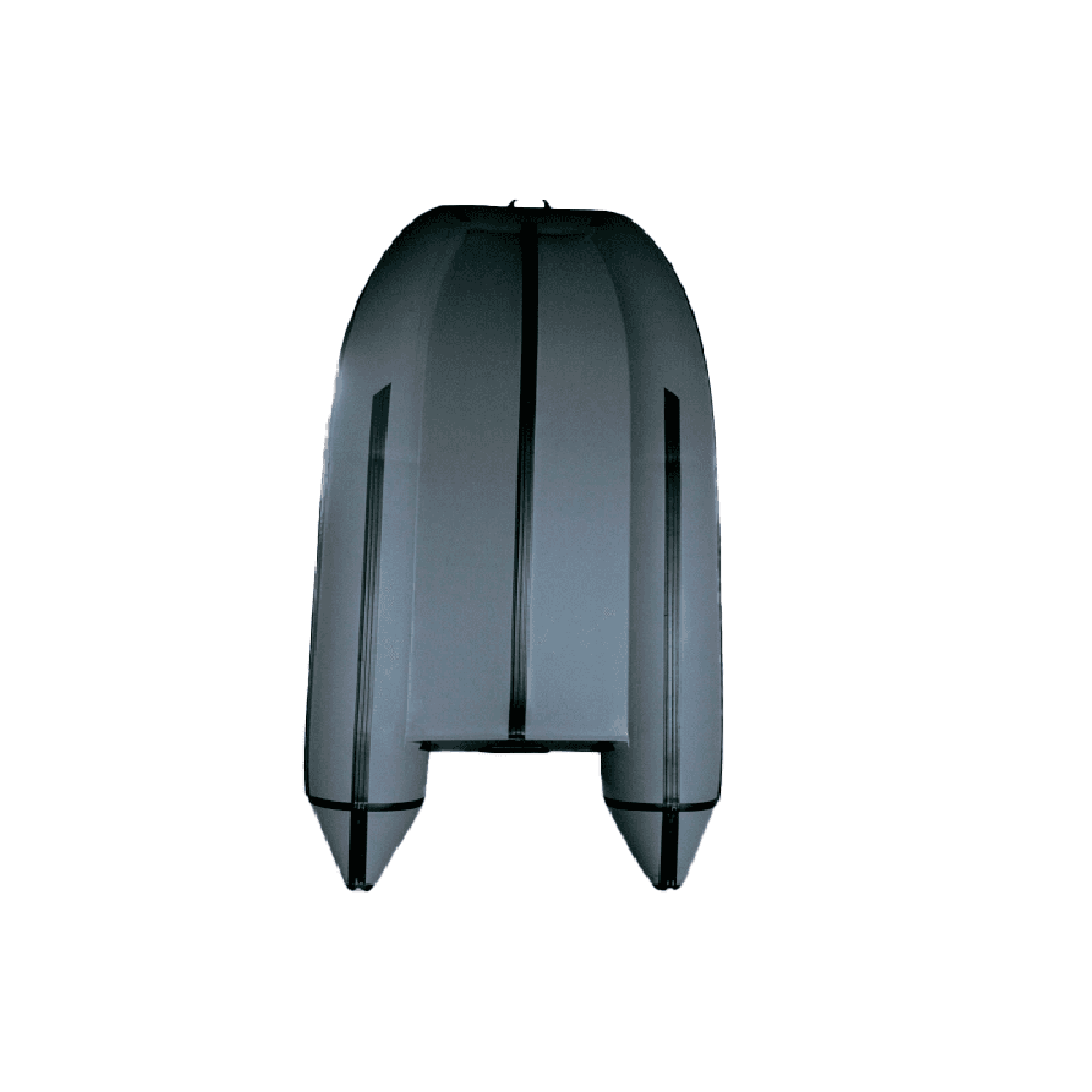 Лодка ПВХ BERING 310К