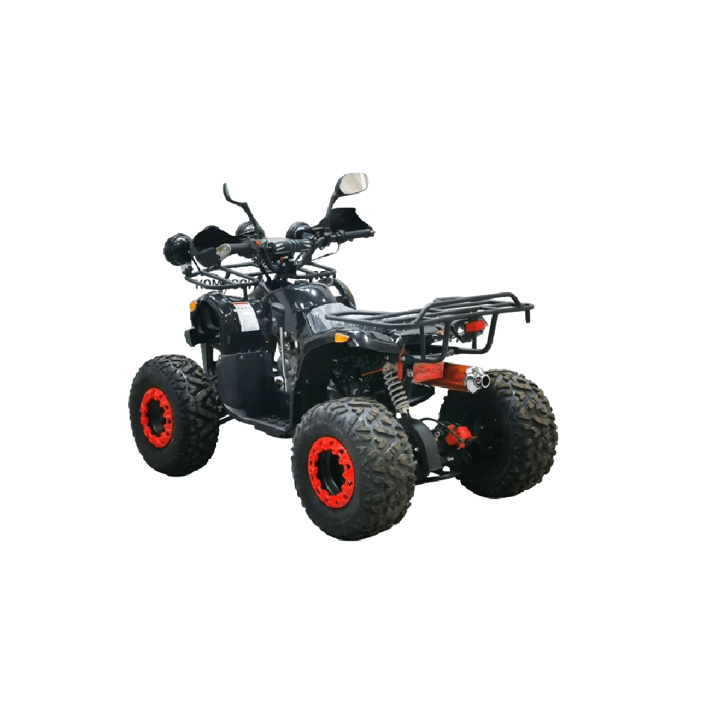 Квадроцикл BISON Kids 125 LD