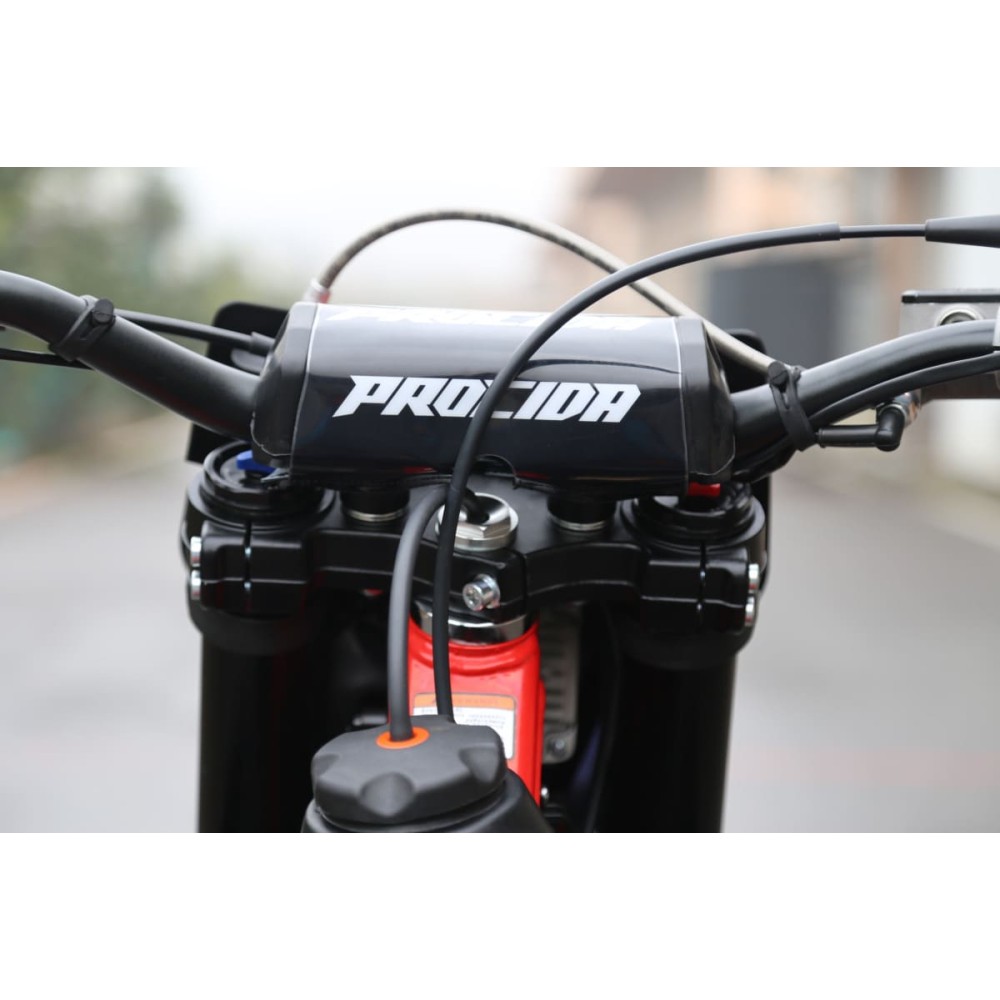Мотоцикл кроссовый эндуро PROCIDA 2020 PR300
