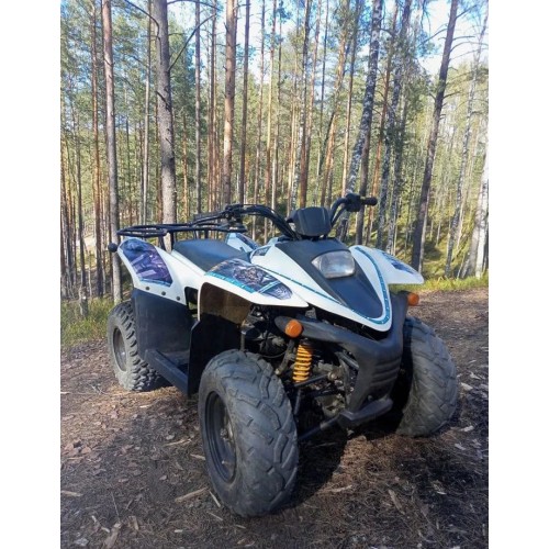 Квадроцикл BALTMOTORS Jam 100 Б/У