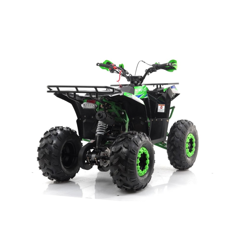Квадроцикл MOTAX Grizlik A125