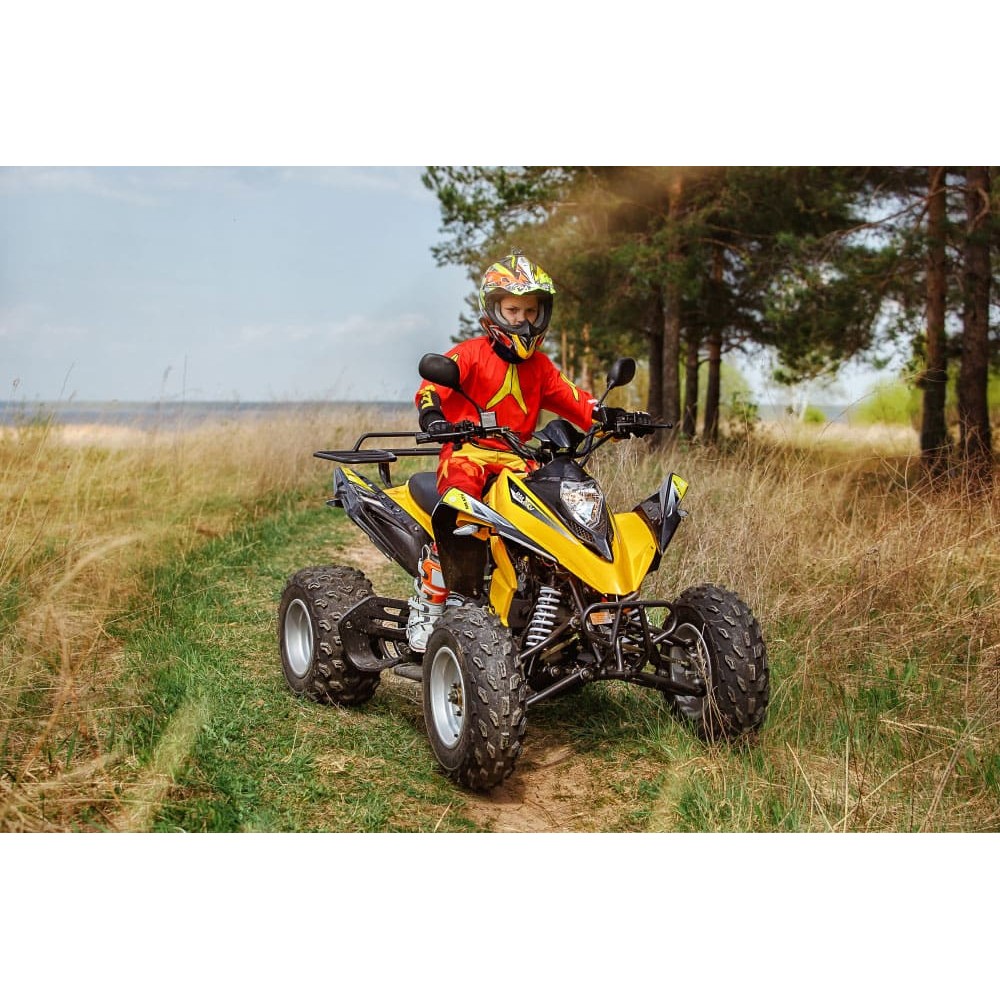 Квадроцикл RM Рысь 150