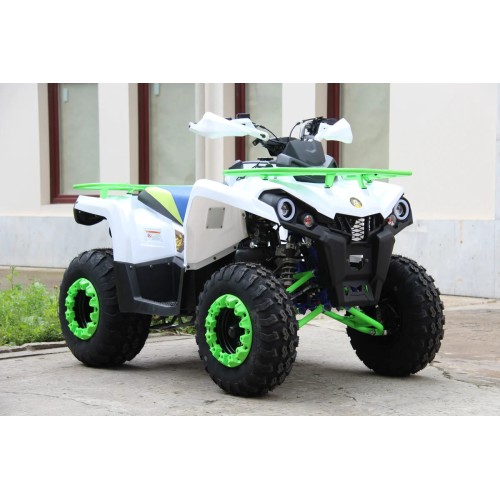 Квадроцикл IRIDE 200 ROVER