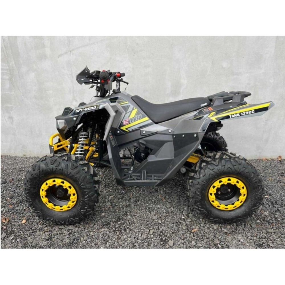 Квадроцикл FXMOTO Tank 125