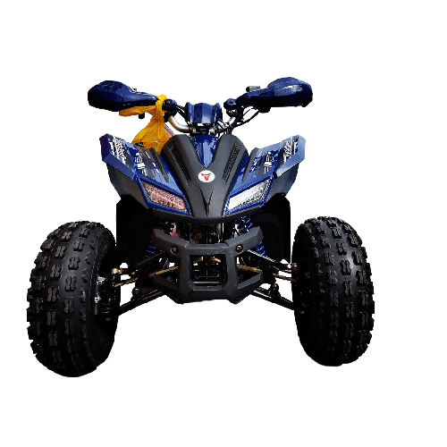 Квадроцикл MOTOLAND 125 Coyote PRO