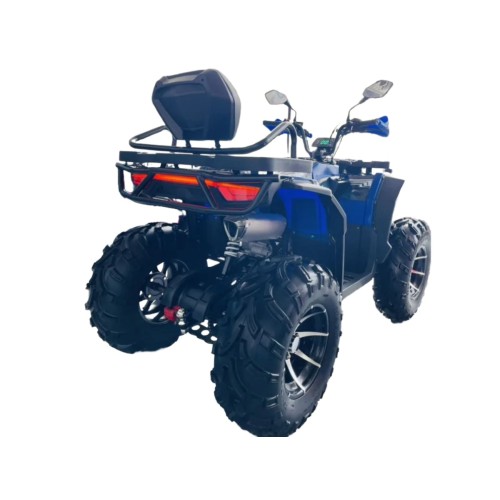 Квадроцикл MOTOLAND 300 Wild Track LUX