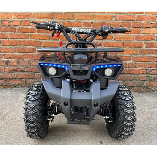 Квадроцикл MOWGLI Mini Hardy 4T