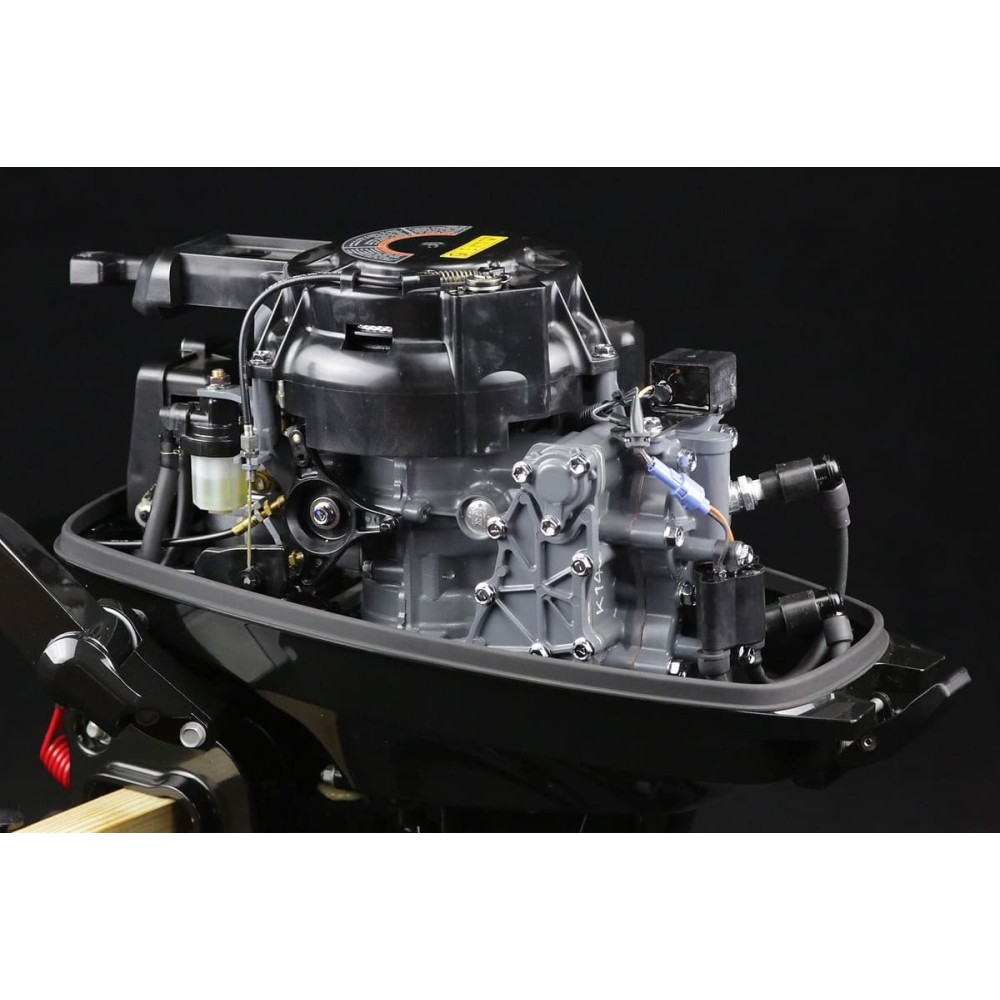 2х-тактный лодочный мотор SUZUKI DT9.9AL