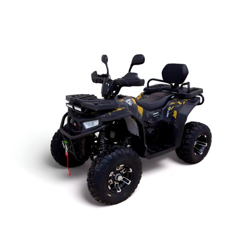 Квадроцикл MOTAX Grizlik W200 LUX