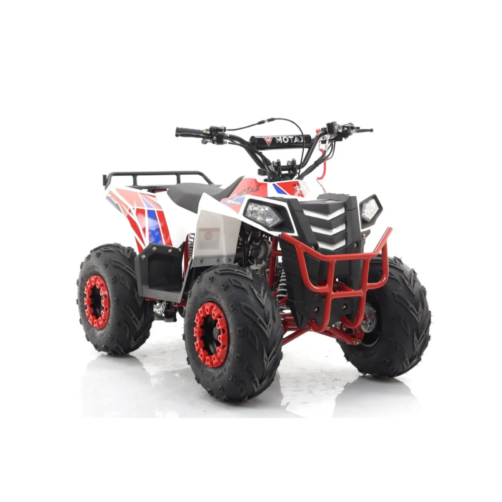 Квадроцикл MOTAX Grizlik A110