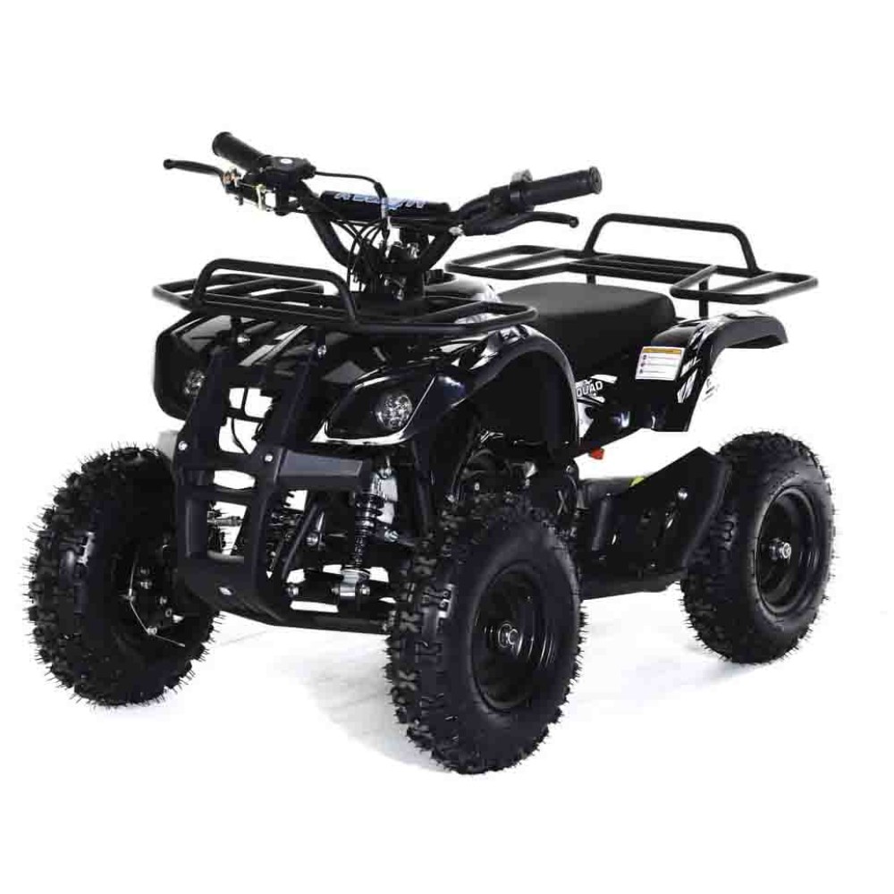 Квадроцикл MOTAX ATV Mini Grizlik X-16