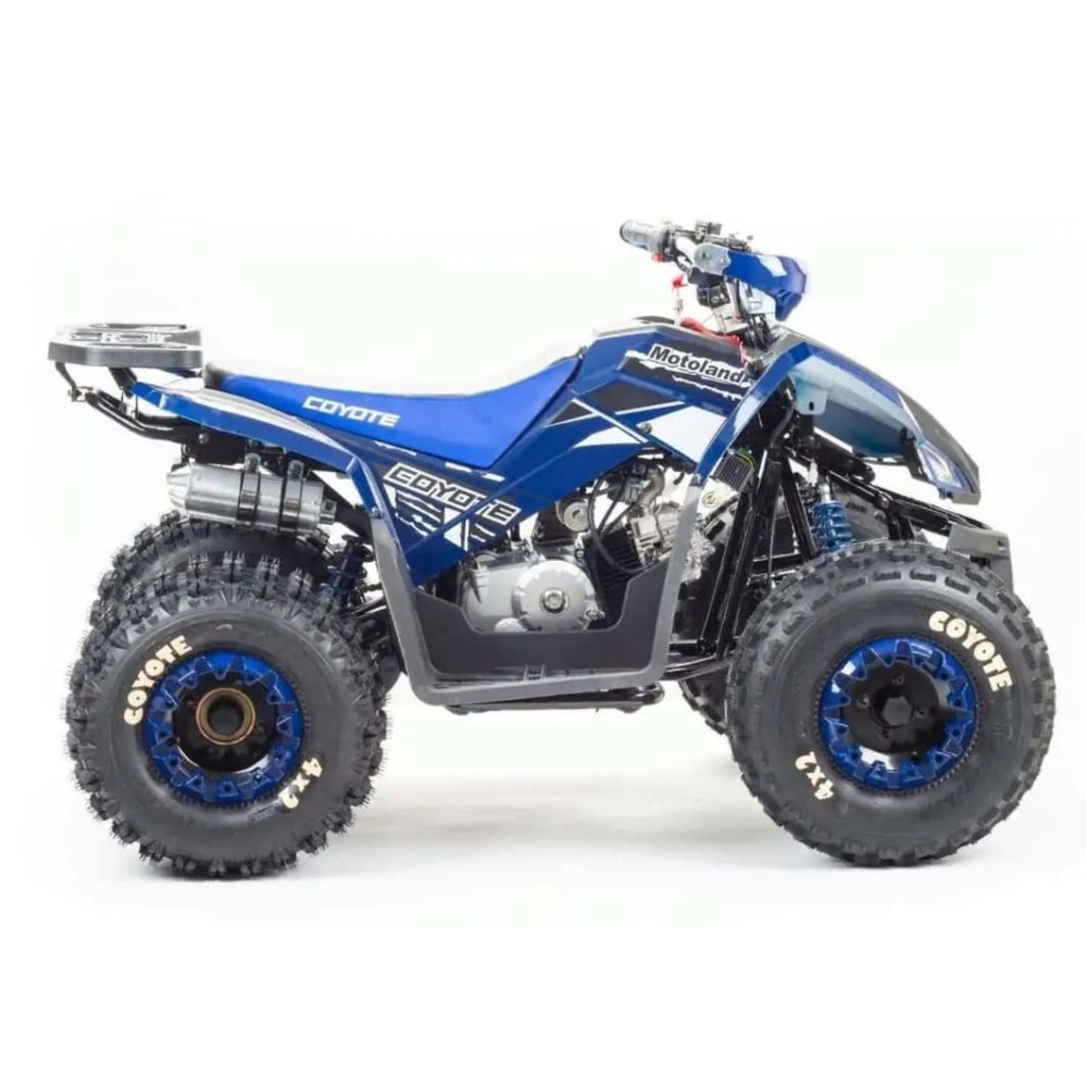 Квадроцикл MOTOLAND 125 Coyote (2021 Г.)