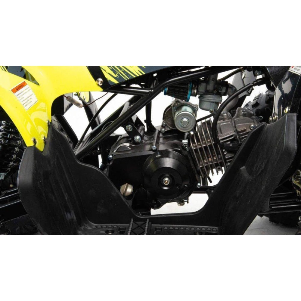 Квадроцикл MOTOLAND 125 RAPTOR