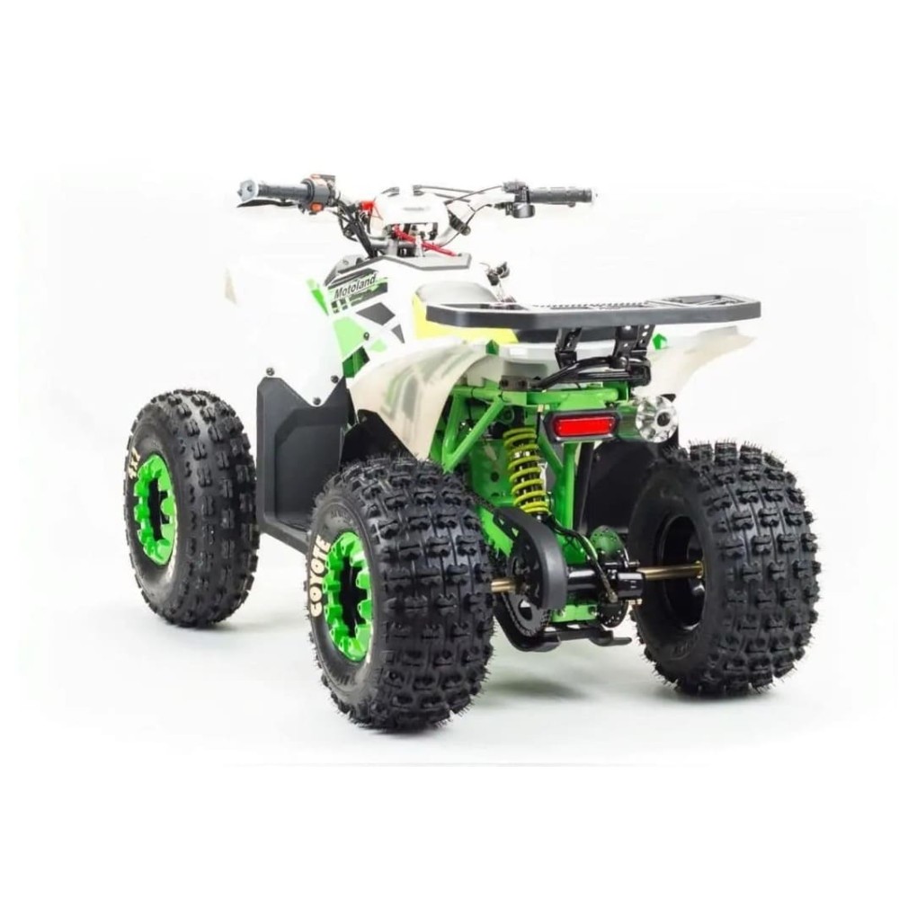 Квадроцикл MOTOLAND 125 Coyote (2021 Г.)