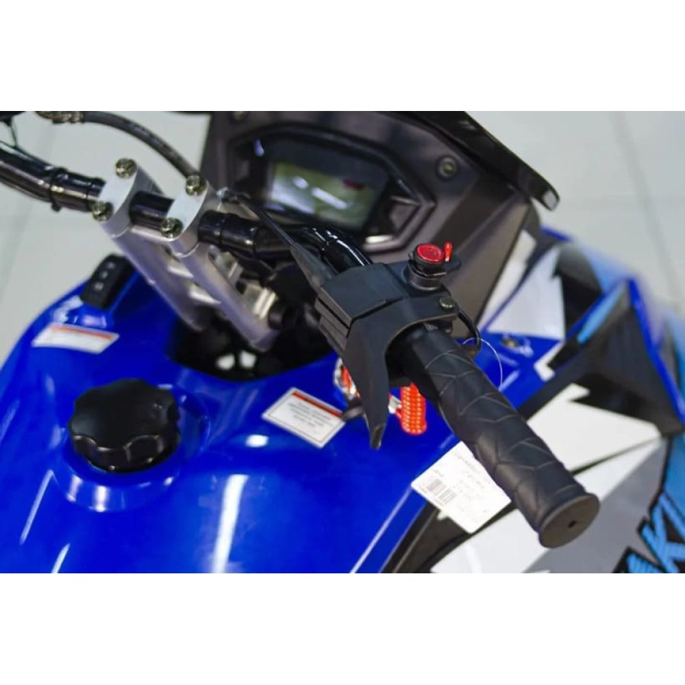 Снегоход ATAKI WD 300