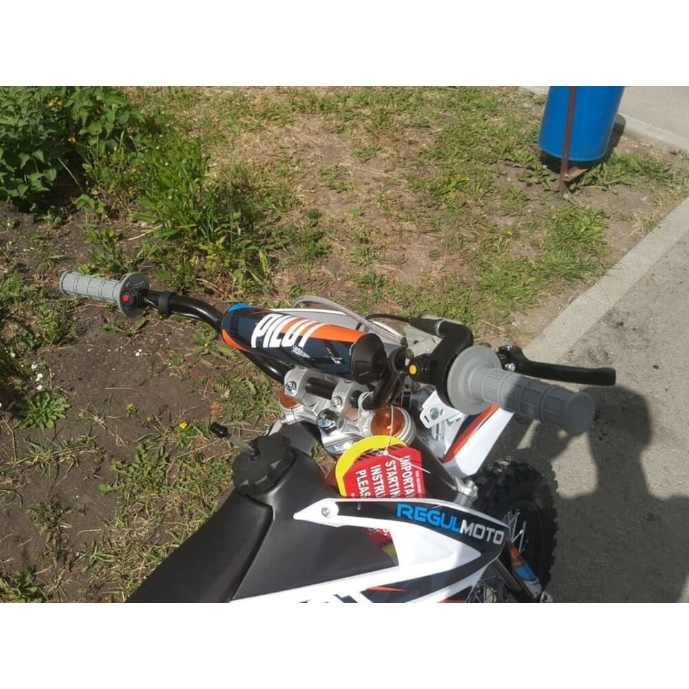 Мотоцикл REGULMOTO Pilot 110EA 12/10 PITBIKE