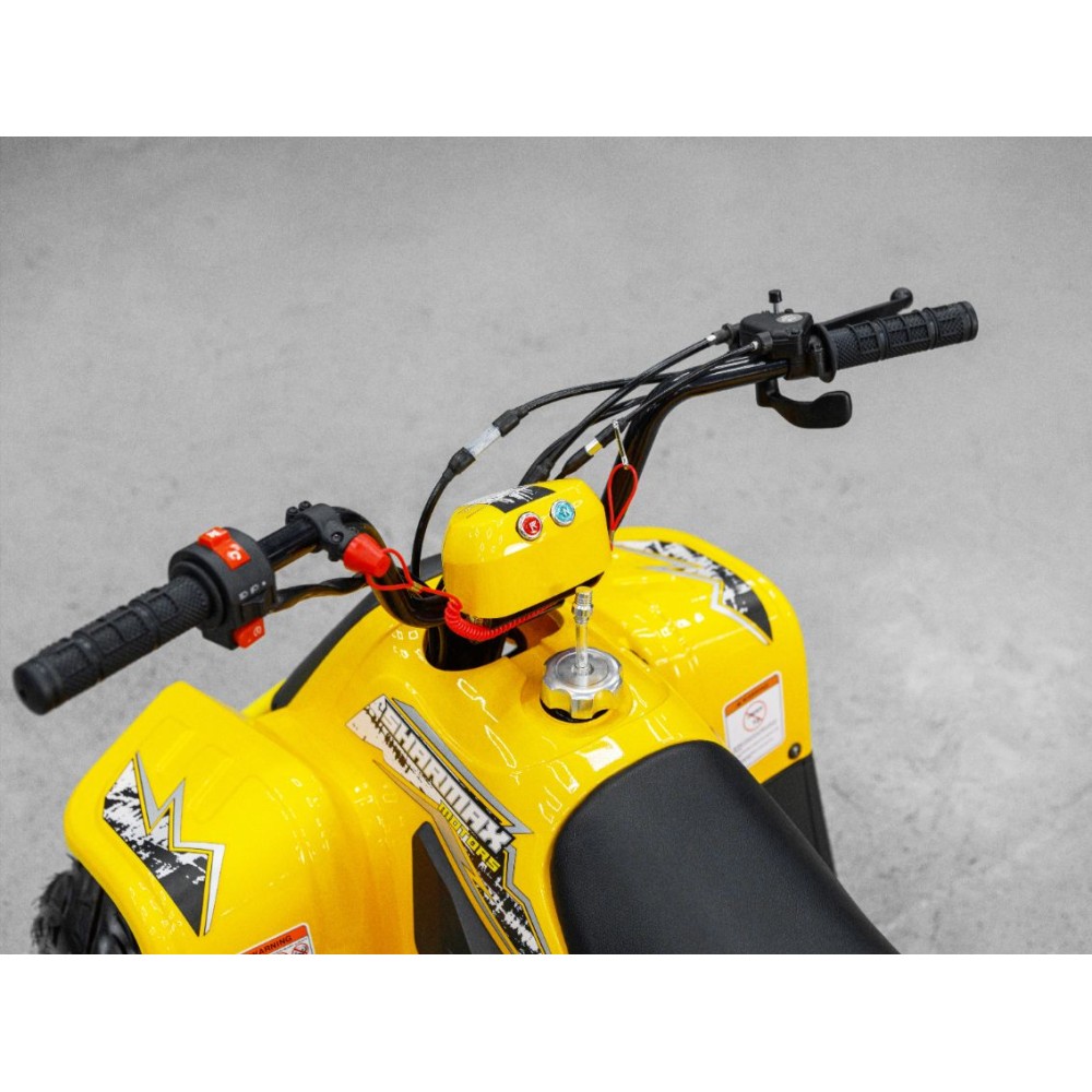 Квадроцикл SHARMAX 130 Cross