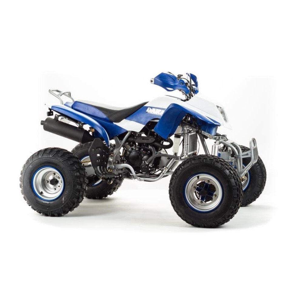 Квадроцикл MOTOLAND 250 Dakar