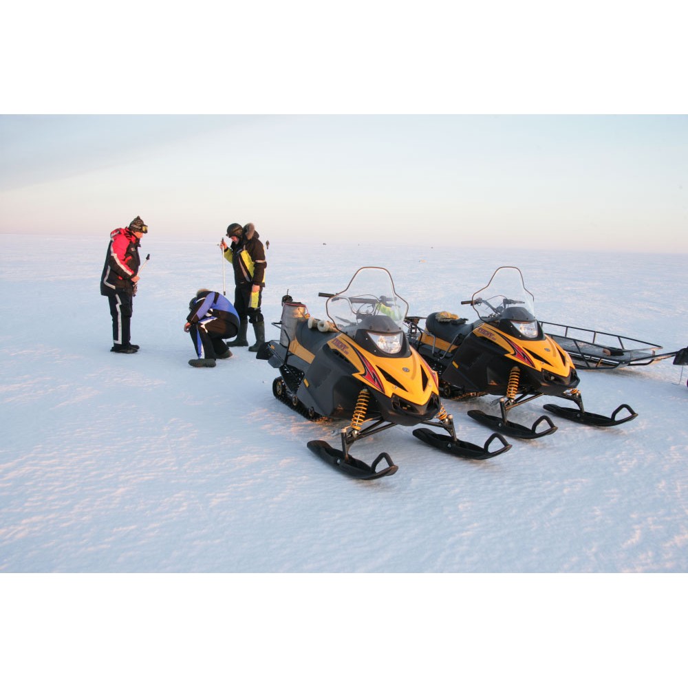 Снегоход РУССКАЯ МЕХАНИКА Tiksy 250 Люкс