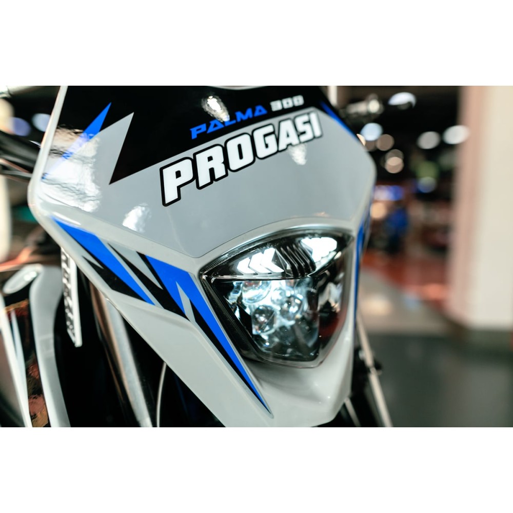Мотоцикл кроссовый эндуро PROGASI Palma 300