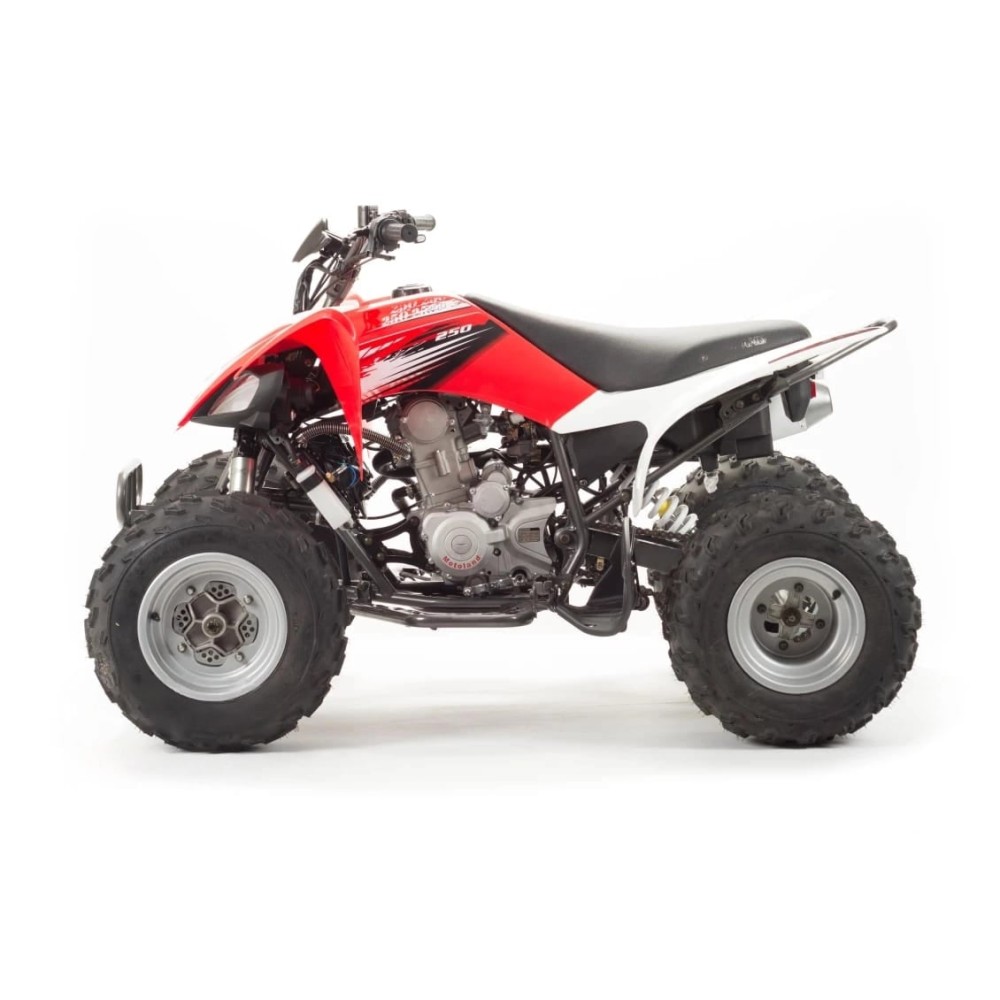 Квадроцикл MOTOLAND 250S
