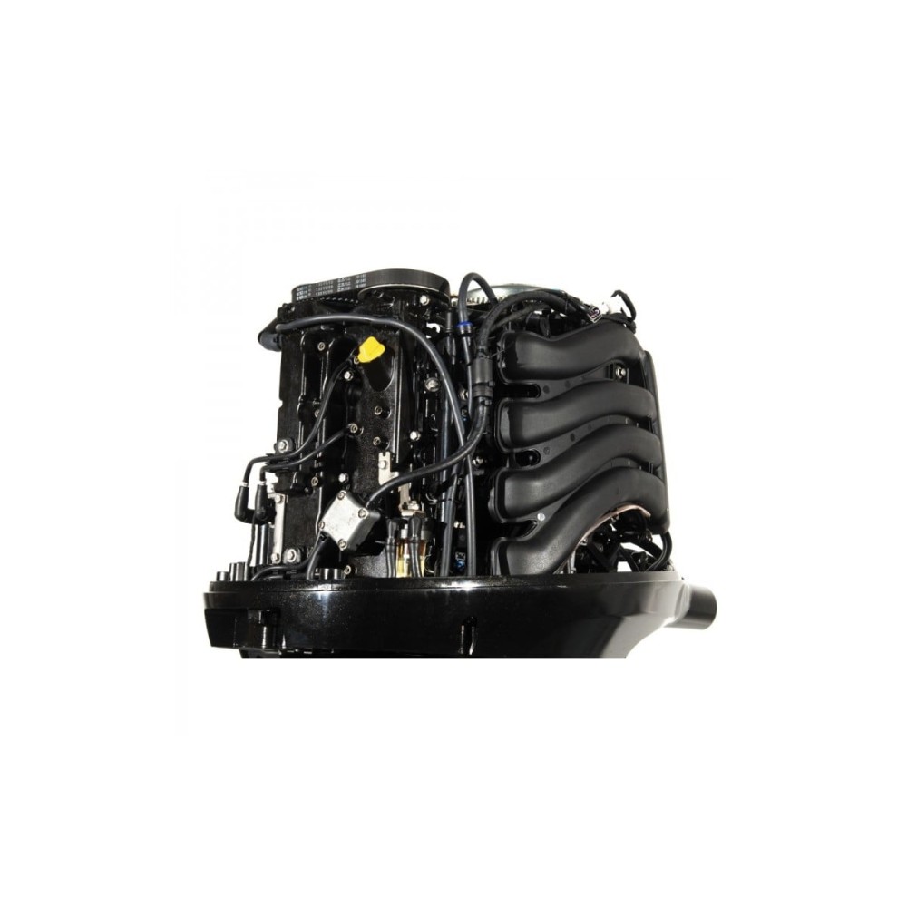 4х-тактный лодочный мотор GOLFSTREAM F100FEL-T EFI