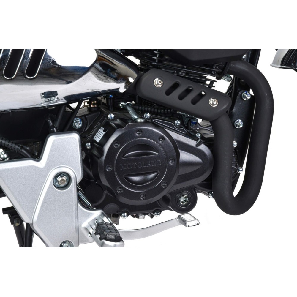 Мотоцикл MOTOLAND Monkey 150 PITBIKE