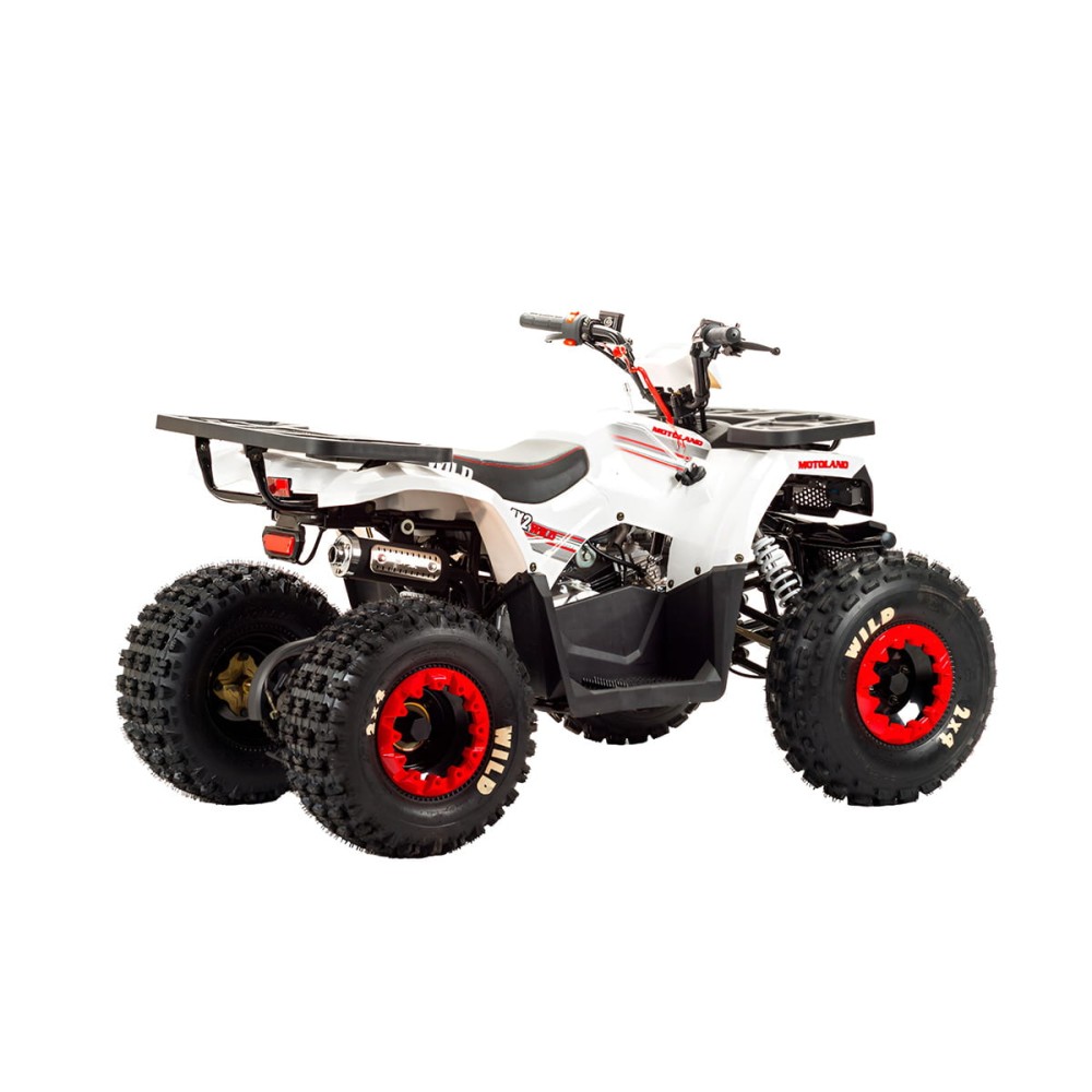Квадроцикл MOTOLAND 125 Wild