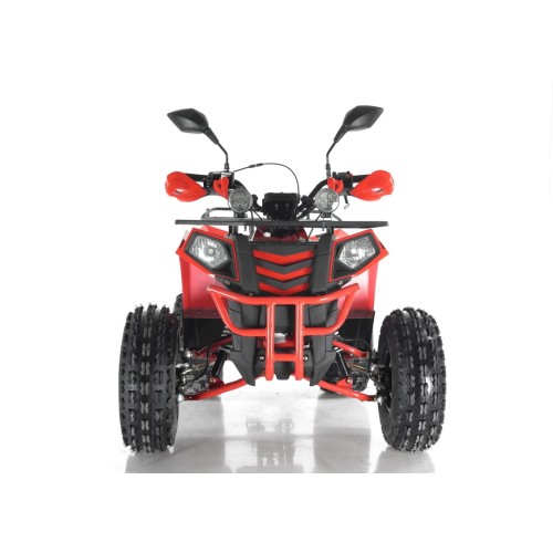 Квадроцикл RAPTOR Madman 200