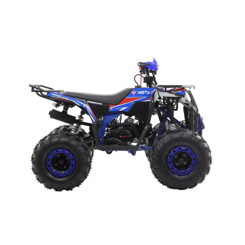 Квадроцикл MOTAX Grizlik A125