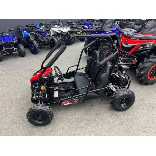 Багги SHARMAX Тигр 250