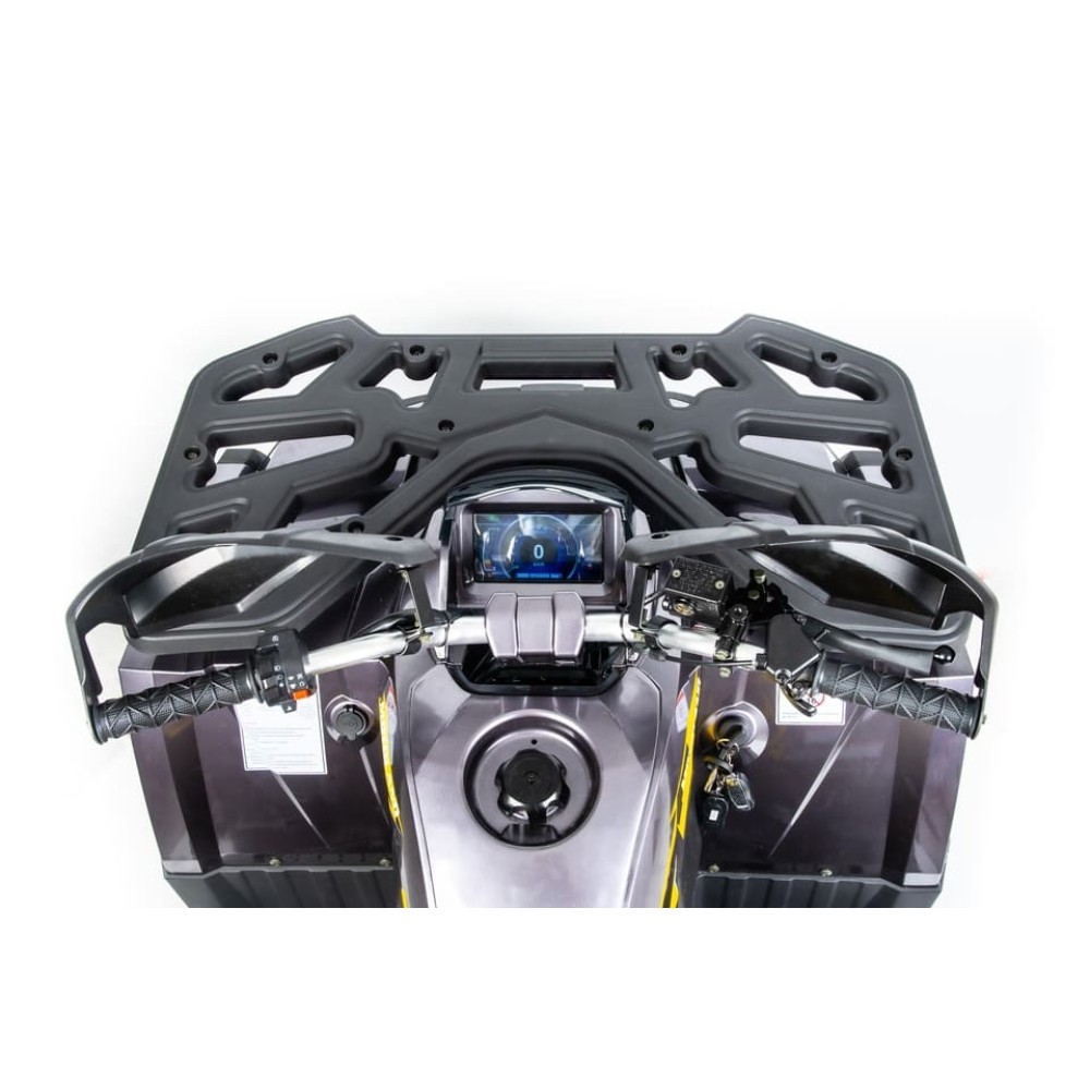 Квадроцикл MOTOLAND 200 Wild Track X Pro (2022)