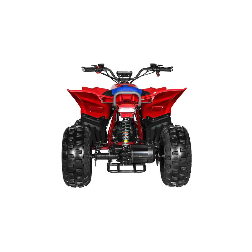 Электроквадроцикл MOTAX E-PENTORA 1500w