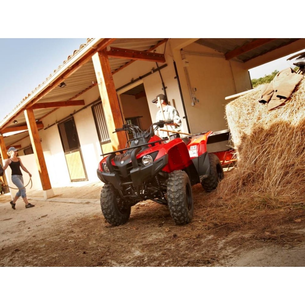 Квадроцикл YAMAHA Segway 300