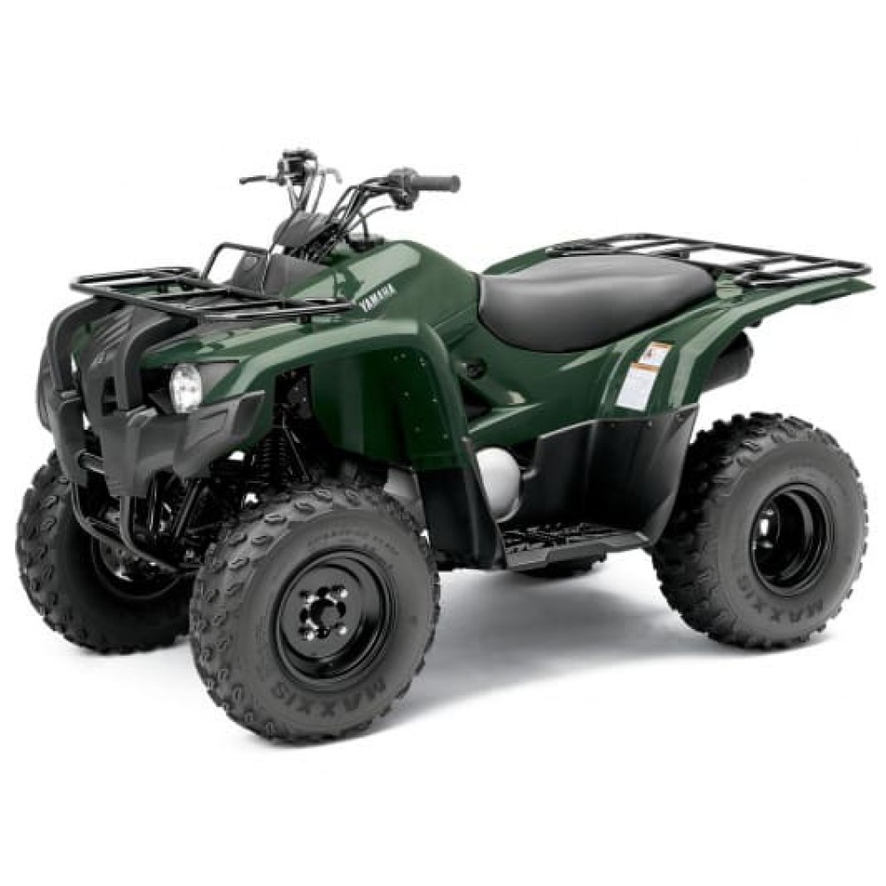 Квадроцикл YAMAHA Segway 300