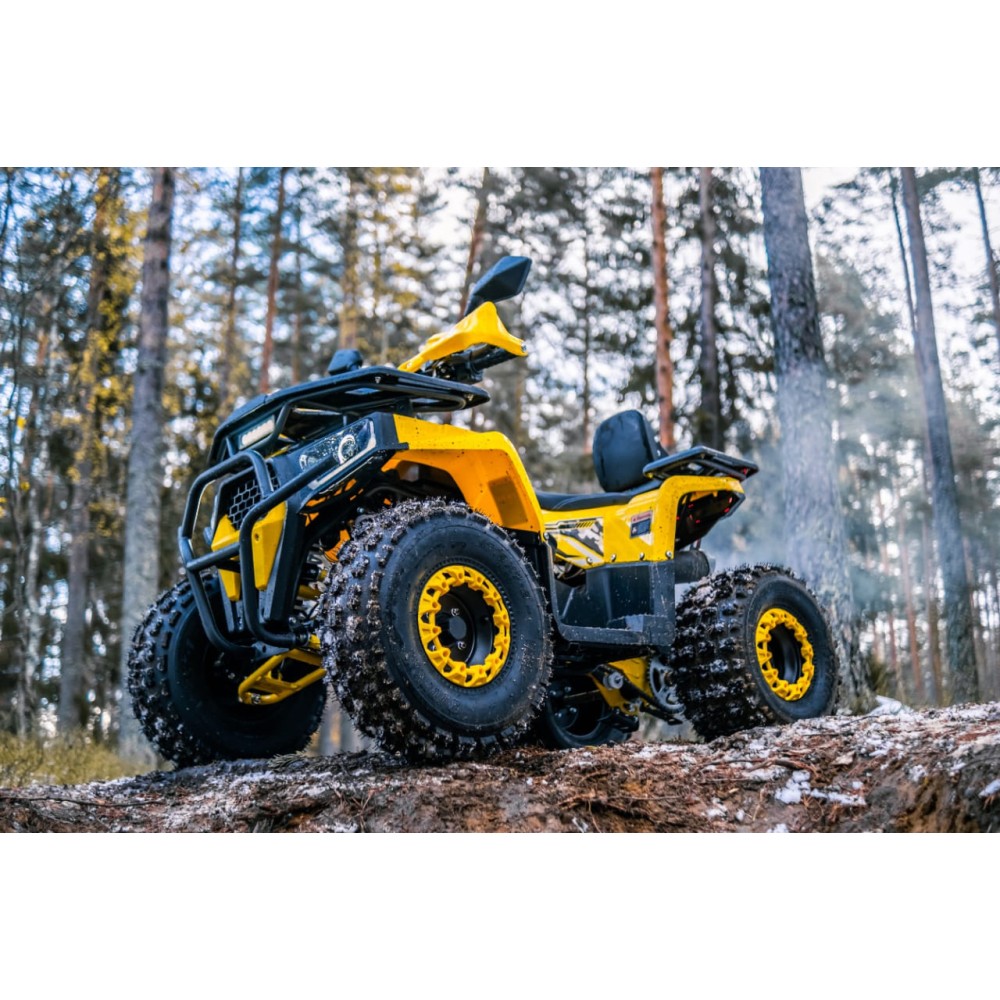 Квадроцикл WELS Thunder Trail 125 PRO