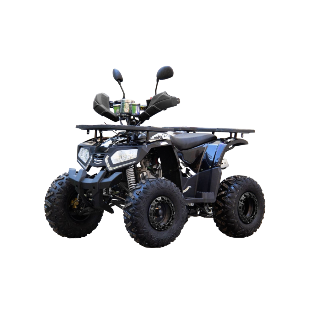 Квадроцикл UNIVERSAL ATV 125 TM Fusion