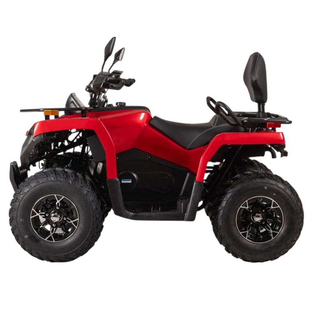 Квадроцикл BIZON YK250 Lux EFI