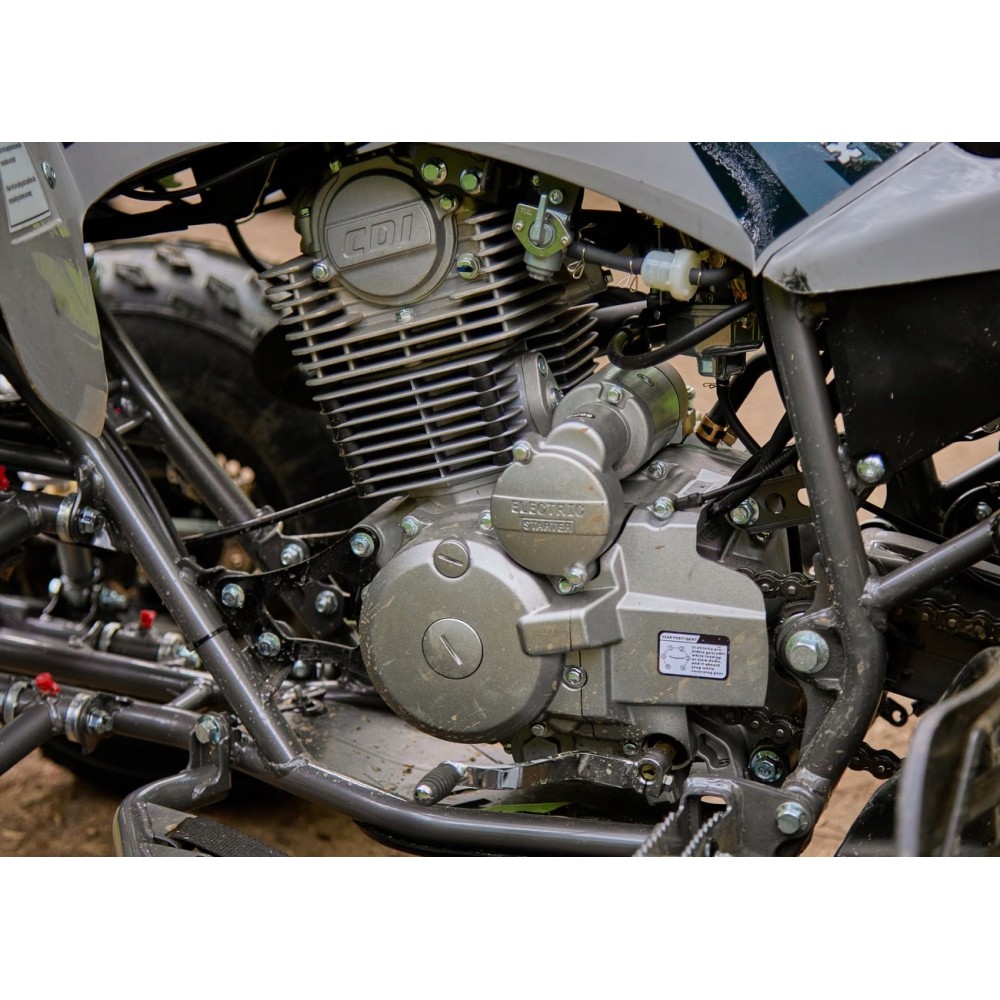 Квадроцикл SHARMAX Raizer Race Cup 250