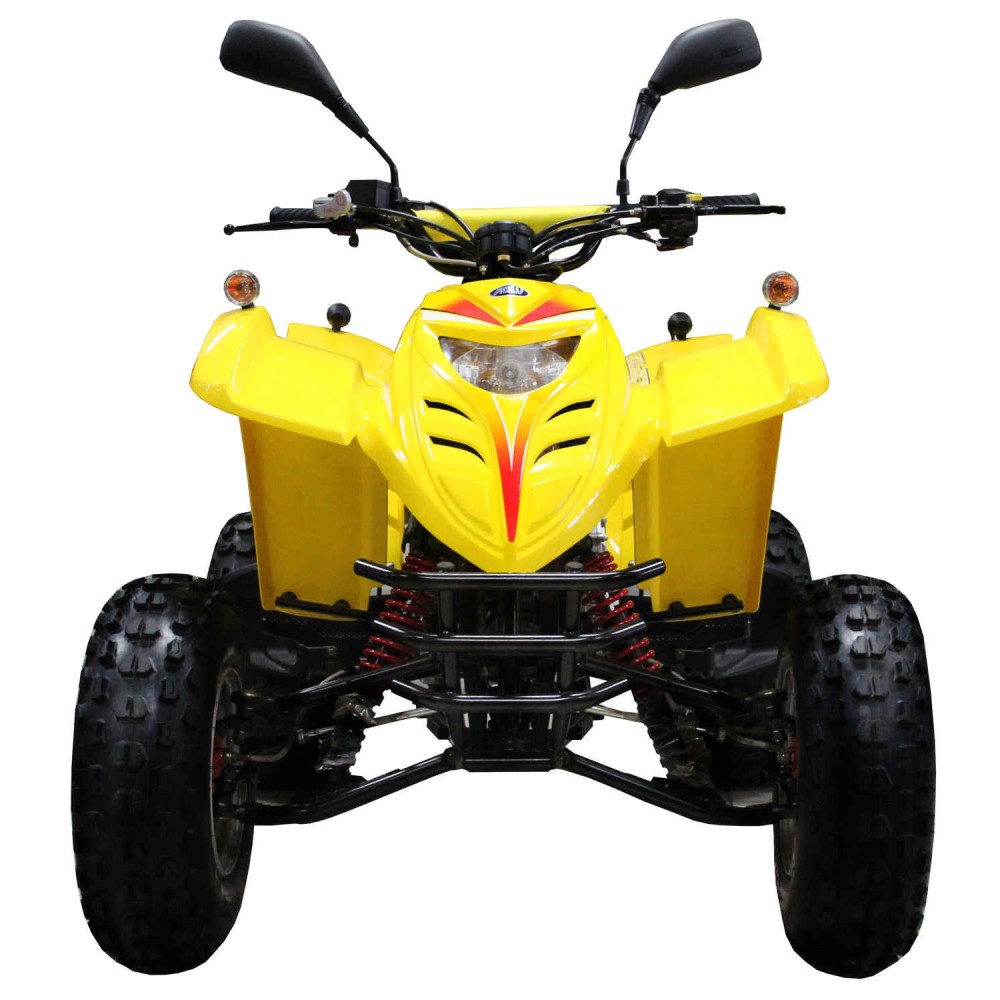 Квадроцикл ADLY 100